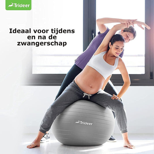 Trideer - extra sterke yoga bal - Zilver 48-55 cm - Met Pomp - gymnastiekbal, pilatesbal, zitbal voor kantoor, balans, yoga, fitness bal, zwangerschapsbal, balansstoel in de sportschool, thuis of op kantoor